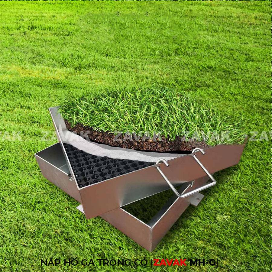 Nắp hố ga trồng cỏ MHG